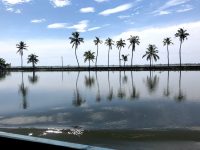 Backwaters